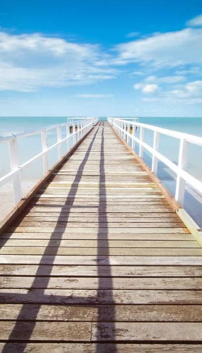 reel